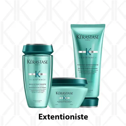 Resistance Extentioniste